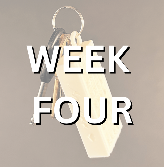 Project 4 Thumbnail